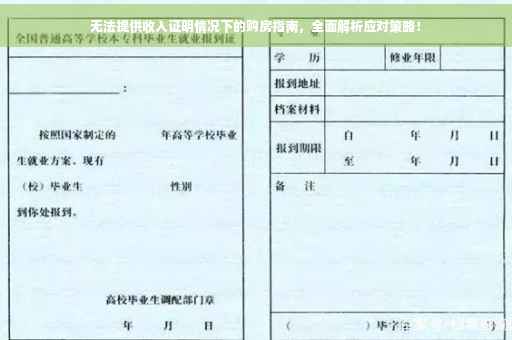 无法提供收入证明情况下的购房指南，全面解析应对策略！