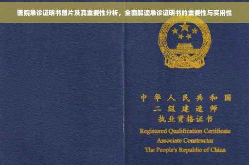 医院急诊证明书图片及其重要性分析，全面解读急诊证明书的重要性与实用性