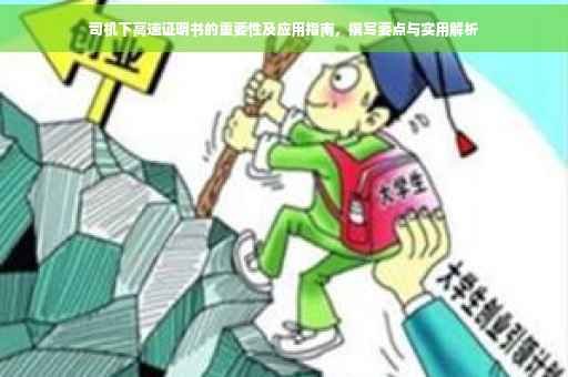 司机下高速证明书的重要性及应用指南，撰写要点与实用解析