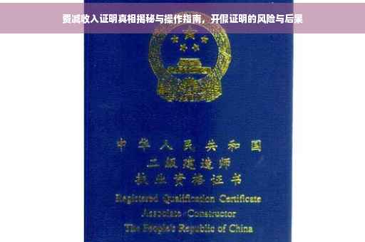 费减收入证明真相揭秘与操作指南，开假证明的风险与后果