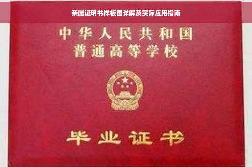 亲属证明书样板图详解及实际应用指南