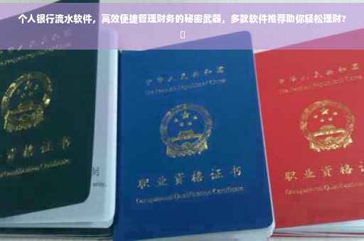 个人银行流水软件，高效便捷管理财务的秘密武器，多款软件推荐助你轻松理财?✨