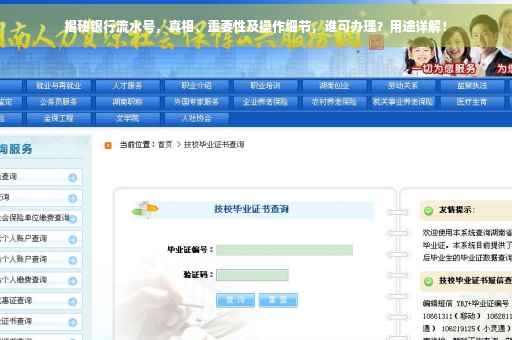 揭秘银行流水号，真相、重要性及操作细节，谁可办理？用途详解！