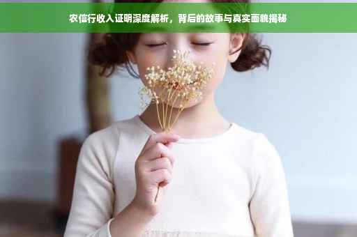 农信行收入证明深度解析，背后的故事与真实面貌揭秘
