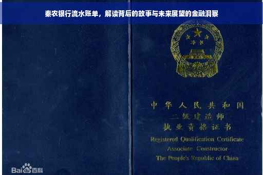 秦农银行流水账单，解读背后的故事与未来展望的金融洞察