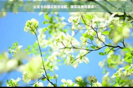 公交卡办理证明书详解，撰写指南与要点?⚡️
