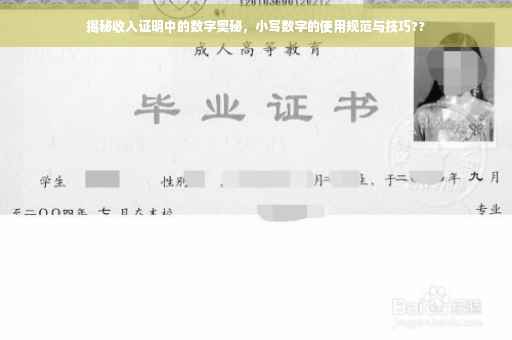 揭秘收入证明中的数字奥秘，小写数字的使用规范与技巧??