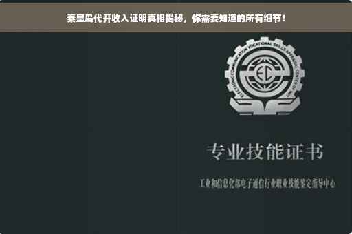 秦皇岛代开收入证明真相揭秘，你需要知道的所有细节！