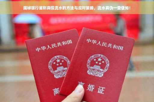 揭秘银行鉴别真假流水的方法与应对策略，流水真伪一查便知！