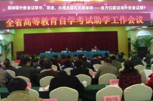 揭秘国外资金证明书，用途、办理流程与注意事项——全方位解读海外资金证明??