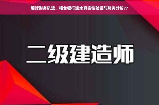 解读财务轨迹，柜台银行流水真实性验证与财务分析??