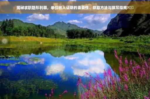 揭秘求职隐形利器，单位收入证明的重要性、获取方法与撰写指南?⚡️