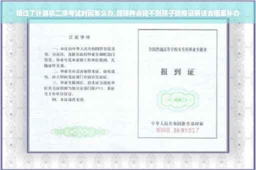 错过了计算机二级考试时间怎么办,原接种点找不到孩子防疫证明该去哪里补办