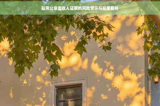 私用公章盖收入证明的风险警示与后果解析