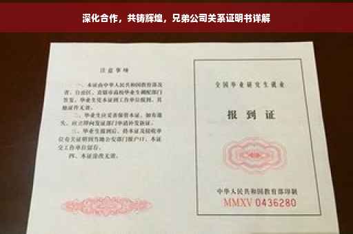 深化合作，共铸辉煌，兄弟公司关系证明书详解