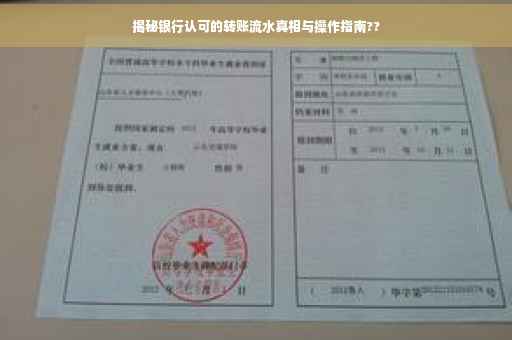 揭秘银行认可的转账流水真相与操作指南??