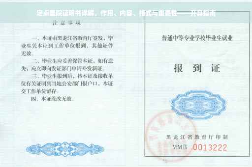 定点医院证明书详解，作用、内容、格式与重要性——开具指南