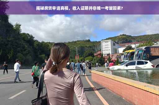 揭秘房贷申请真相，收入证明并非唯一考量因素?