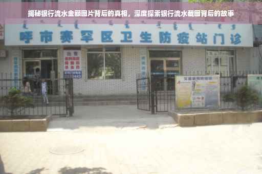 揭秘银行流水金额图片背后的真相，深度探索银行流水截图背后的故事