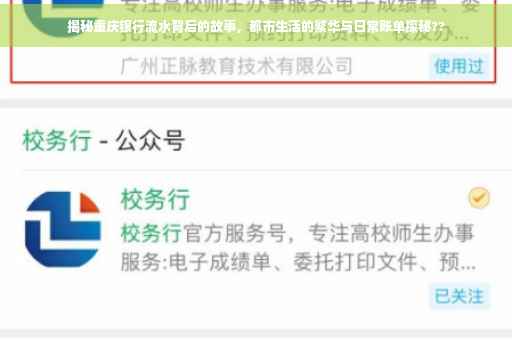 揭秘重庆银行流水背后的故事，都市生活的繁华与日常账单探秘??