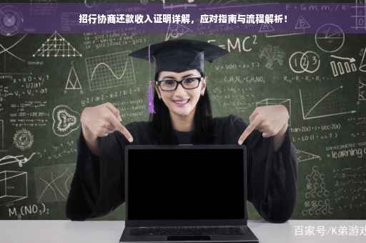 招行协商还款收入证明详解，应对指南与流程解析！