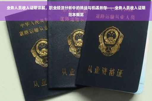 业务人员收入证明详解，职业经济分析中的挑战与机遇并存——业务人员收入证明范本概览