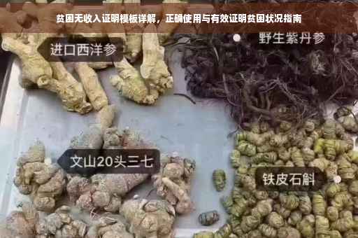 贫困无收入证明模板详解，正确使用与有效证明贫困状况指南