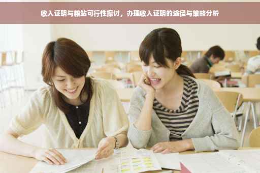 收入证明与粮站可行性探讨，办理收入证明的途径与策略分析