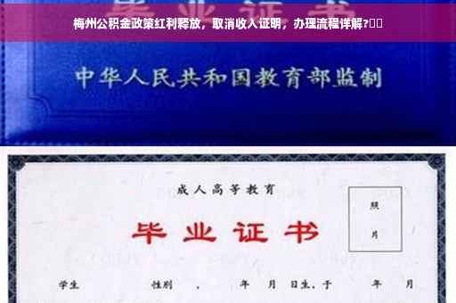 梅州公积金政策红利释放，取消收入证明，办理流程详解?⚡️