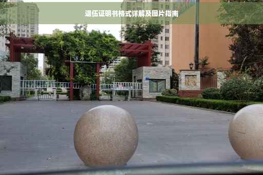 退伍证明书格式详解及图片指南