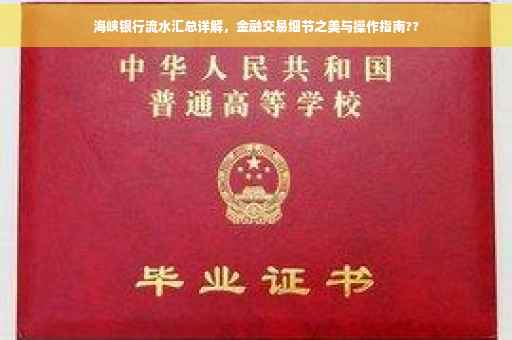 海峡银行流水汇总详解，金融交易细节之美与操作指南??