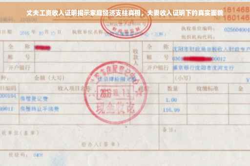 丈夫工资收入证明揭示家庭经济支柱真相，夫妻收入证明下的真实面貌