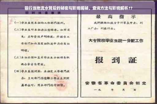 银行当地流水背后的秘密与影响揭秘，查询方法与影响解析??