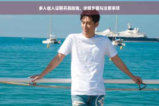 多人收入证明开具指南，详细步骤与注意事项