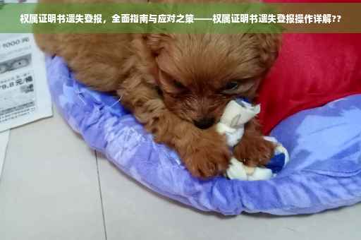 权属证明书遗失登报，全面指南与应对之策——权属证明书遗失登报操作详解??