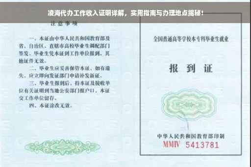 凌海代办工作收入证明详解，实用指南与办理地点揭秘！