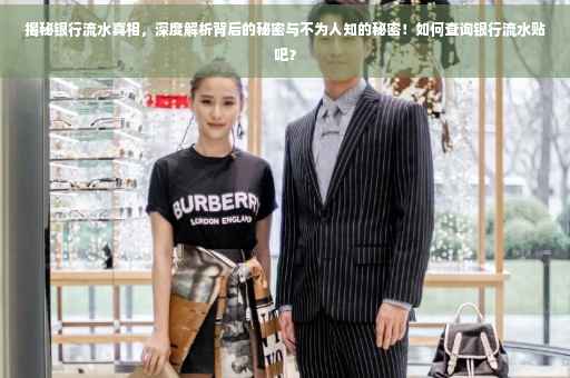 揭秘银行流水真相，深度解析背后的秘密与不为人知的秘密！如何查询银行流水贴吧？