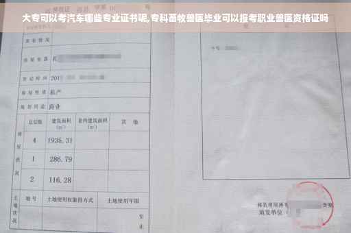 大专可以考汽车哪些专业证书呢,专科畜牧兽医毕业可以报考职业兽医资格证吗