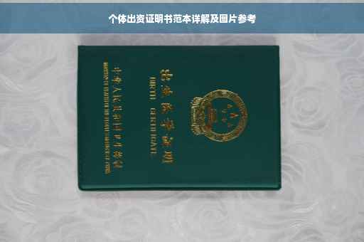 个体出资证明书范本详解及图片参考