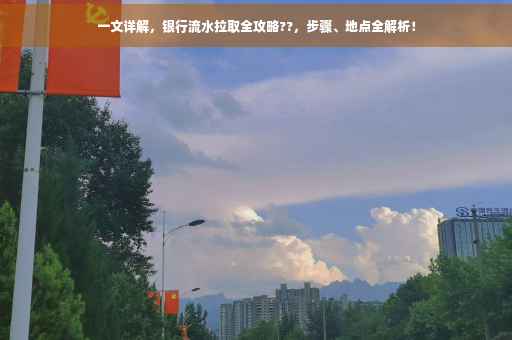 一文详解，银行流水拉取全攻略??，步骤、地点全解析！