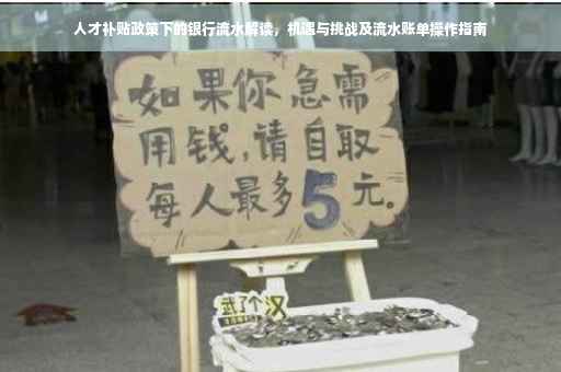 人才补贴政策下的银行流水解读，机遇与挑战及流水账单操作指南