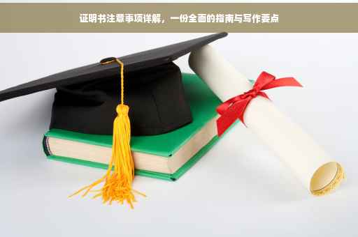 证明书注意事项详解，一份全面的指南与写作要点
