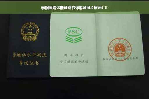 攀钢医院诊断证明书详解及图片展示?⚡️