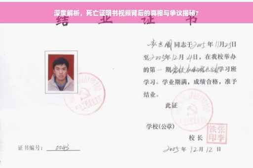 深度解析，死亡证明书视频背后的真相与争议揭秘?