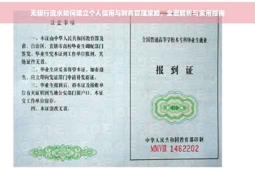 无银行流水如何建立个人信用与财务管理策略，全面解析与实用指南
