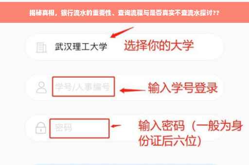 揭秘真相，银行流水的重要性、查询流程与是否真实不查流水探讨??