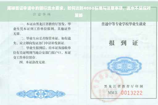 揭秘签证申请中的银行流水要求，如何达到4000标准与注意事项，流水不足应对策略