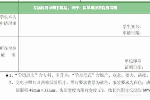 车祸评残证明书详解，责任、程序与权益保障指南
