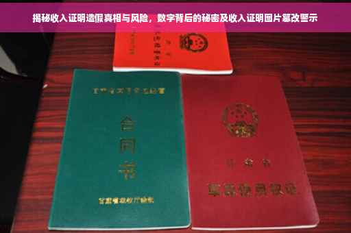 揭秘收入证明造假真相与风险，数字背后的秘密及收入证明图片篡改警示