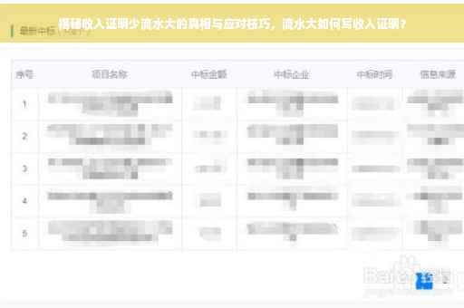 揭秘收入证明少流水大的真相与应对技巧，流水大如何写收入证明？